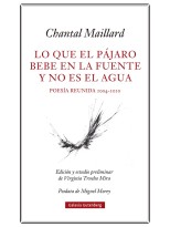 LO QUE EL PÁJARO BEBE EN LA FUENTE Y NO ES EL AGUA