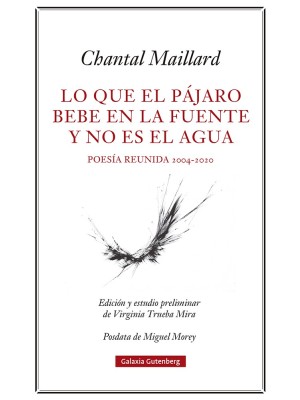 LO QUE EL PÁJARO BEBE EN LA FUENTE Y NO ES EL AGUA