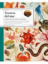 TESOROS DEL MAR