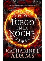 FUEGO EN LA NOCHE