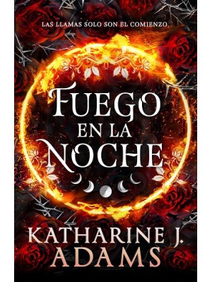 FUEGO EN LA NOCHE