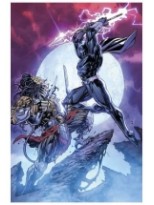 PREDATOR VS. PANTERA NEGRA