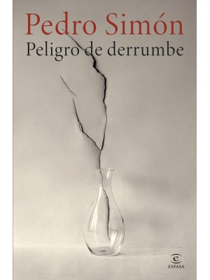 PELIGRO DE DERRUMBE