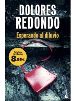 ESPERANDO AL DILUVIO