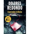 ESPERANDO AL DILUVIO