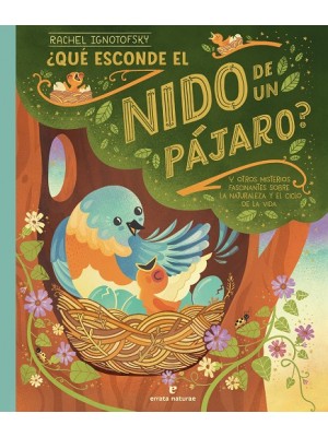 QUÉ ESCONDE EL NIDO DE UN PÁJARO?