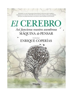 CEREBRO, EL