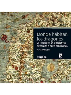 DONDE HABITAN LOS DRAGONES