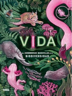 VIDA