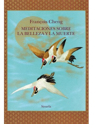 MEDITACIONES SOBRE LA BELLEZA Y LA MUERTE