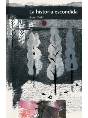 HISTORIA ESCONDIDA, LA