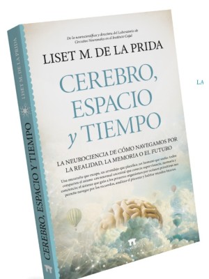 CEREBRO ESPACIO Y TIEMPO