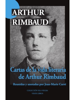 CARTAS DE LA VIDA LITERARIA