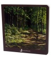 BOSQUE, EL