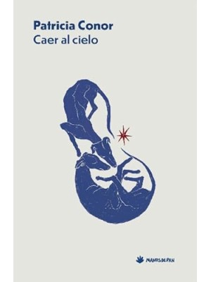 CAER AL CIELO