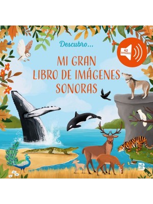 MI GRAN LIBRO DE IMÁGENES  SONORAS