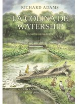 COLINA DE WATERSHIP, LA