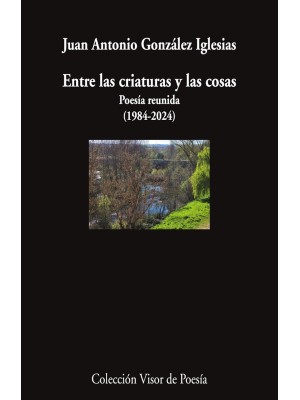 ENTRE LAS CRIATURAS Y LAS COSAS