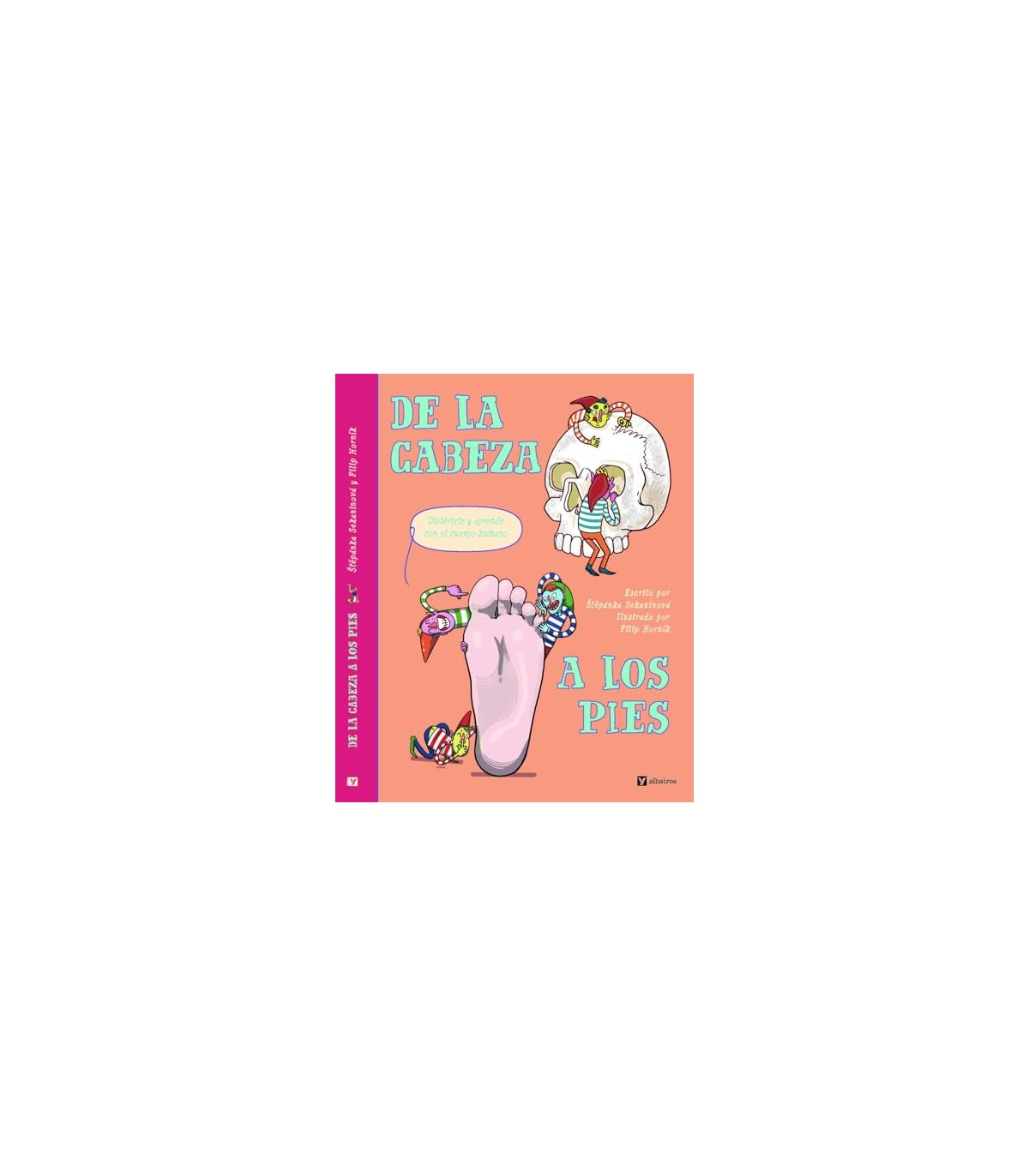 DE LA CABEZA A LOS PIES