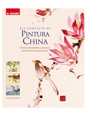 KIT COMPLETO DE PINTURA CHINA (CON MATERIAL ADICIO