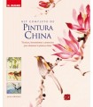 KIT COMPLETO DE PINTURA CHINA (CON MATERIAL ADICIO