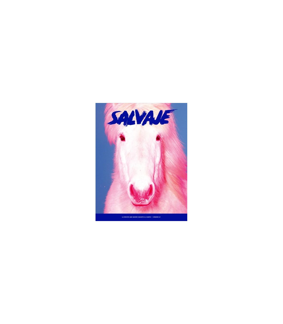 REVISTA SALVAJE 27