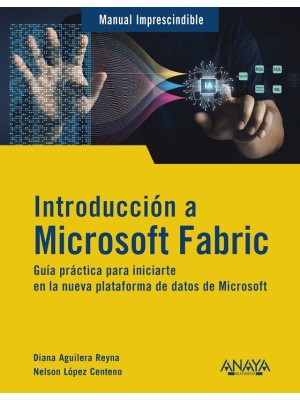INTRODUCCIÓN A MICROSOFT FABRIC