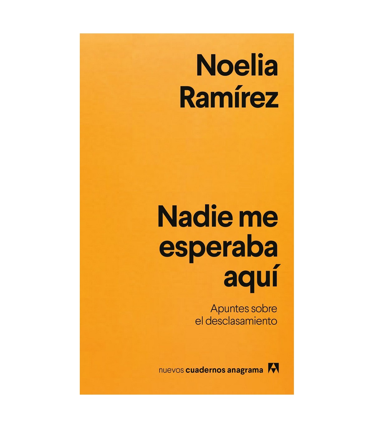 NADIE ME ESPERABA AQUÍ