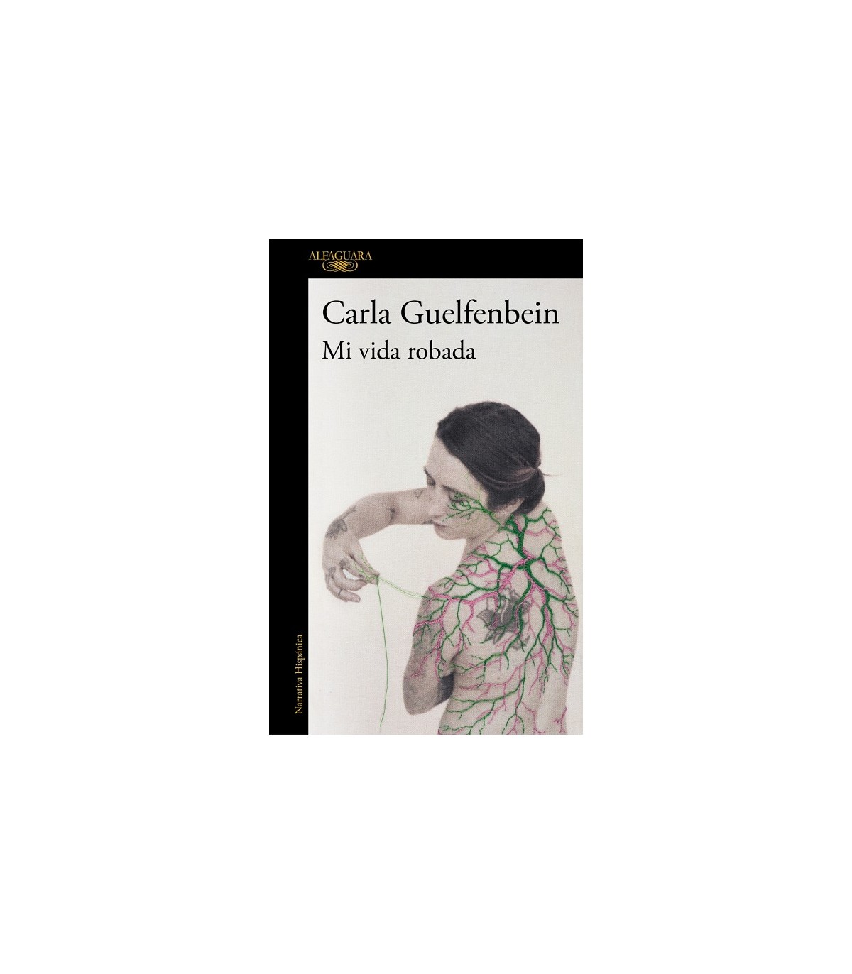 MI VIDA ROBADA