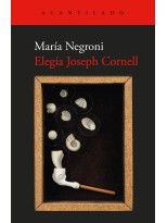ELEGÍA JOSEPH CORNELL