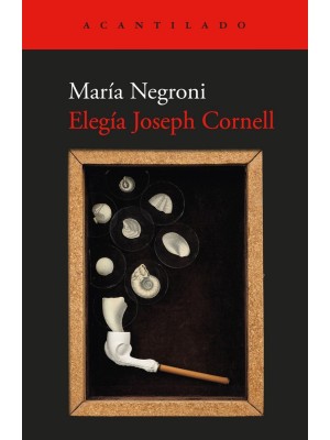 ELEGÍA JOSEPH CORNELL
