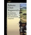 SI SINTIERAS BAJO LOS PIES LAS ESTRUCTURAS MAYORES (MAPA DE LAS LENGUAS)