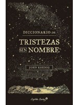 DICCIONARIO DE TRISTEZAS SIN NOMBRE