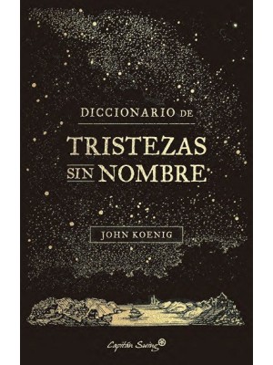 DICCIONARIO DE TRISTEZAS SIN NOMBRE