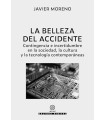 BELLEZA DEL ACCIDENTE, LA