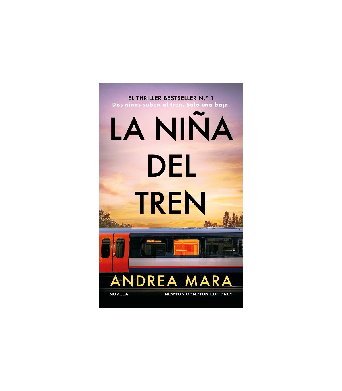 NIÑA DEL TREN, LA