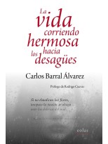 VIDA CORRIENDO HERMOSA HACIA LOS DESAGÜES, LA