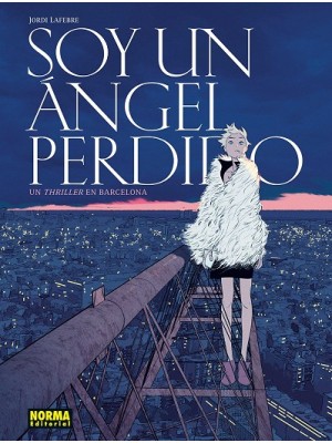 SOY UN ANGEL PERDIDO