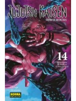 JUJUTSU KAISEN /14