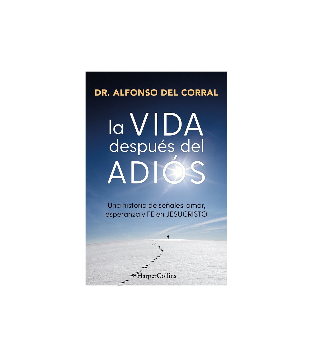 VIDA DESPUÉS DEL ADIÓS, LA