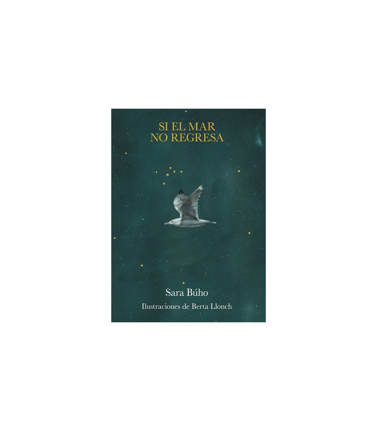 SI EL MAR NO REGRESA