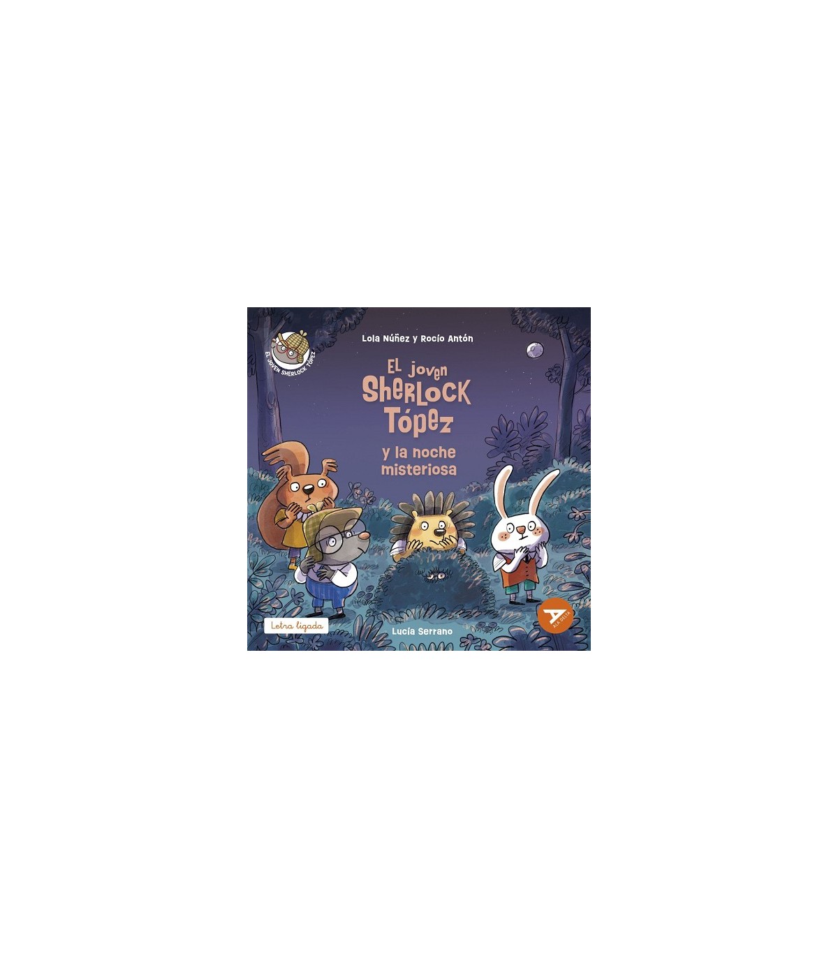 JOVEN SHERLOCK TÓPEZ Y LA NOCHE MISTERIOSA