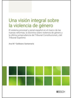 VISIÓN INTEGRAL SOBRE LA VIOLENCIA DE GÉNERO