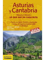 ASTURIAS Y CANTABRICA (MAPA DE CARRETERA)