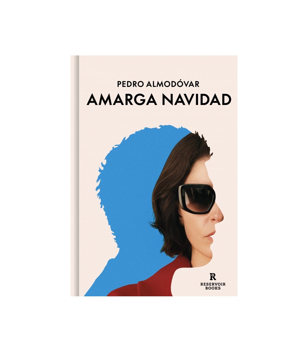 AMARGA NAVIDAD (GUIÓN)
