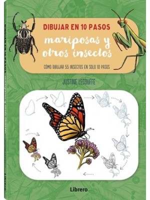 DIBUJAR MARIPOSAS Y OTROS INSECTOS EN 10 PASOS