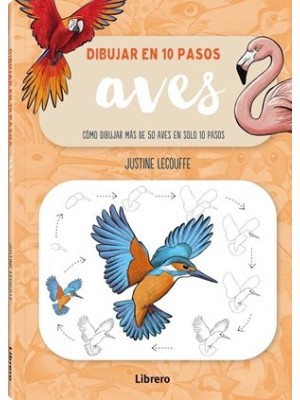 DIBUJAR AVES EN 10 PASOS