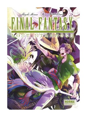 FINAL FANTASY LOST STRANGER /06