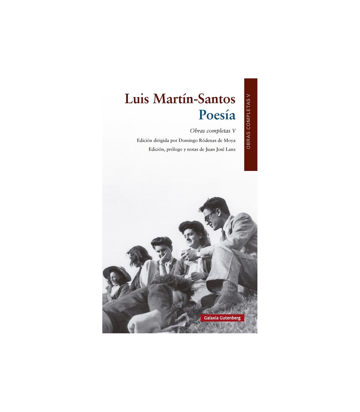 POESÍA. VOL. V OOCC LUIS MARTÍN-SANTOS