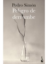 PELIGRO DE DERRUMBE